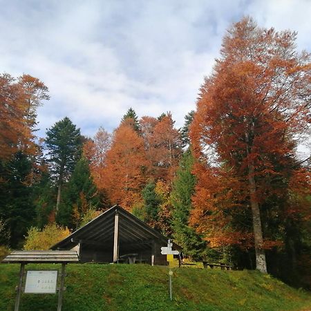 Hotel Am Kurpark Todtmoos Zewnętrze zdjęcie