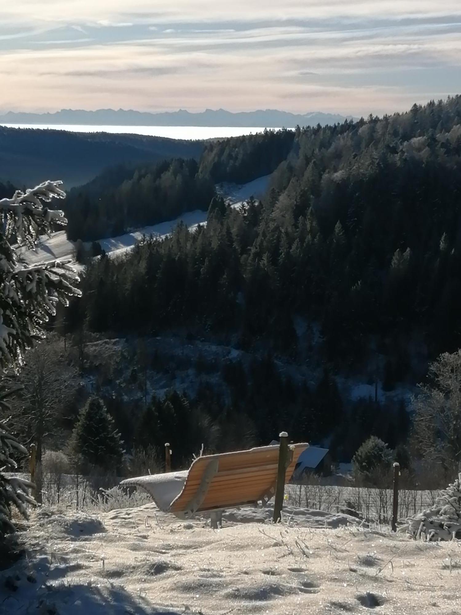 Hotel Am Kurpark Todtmoos Zewnętrze zdjęcie