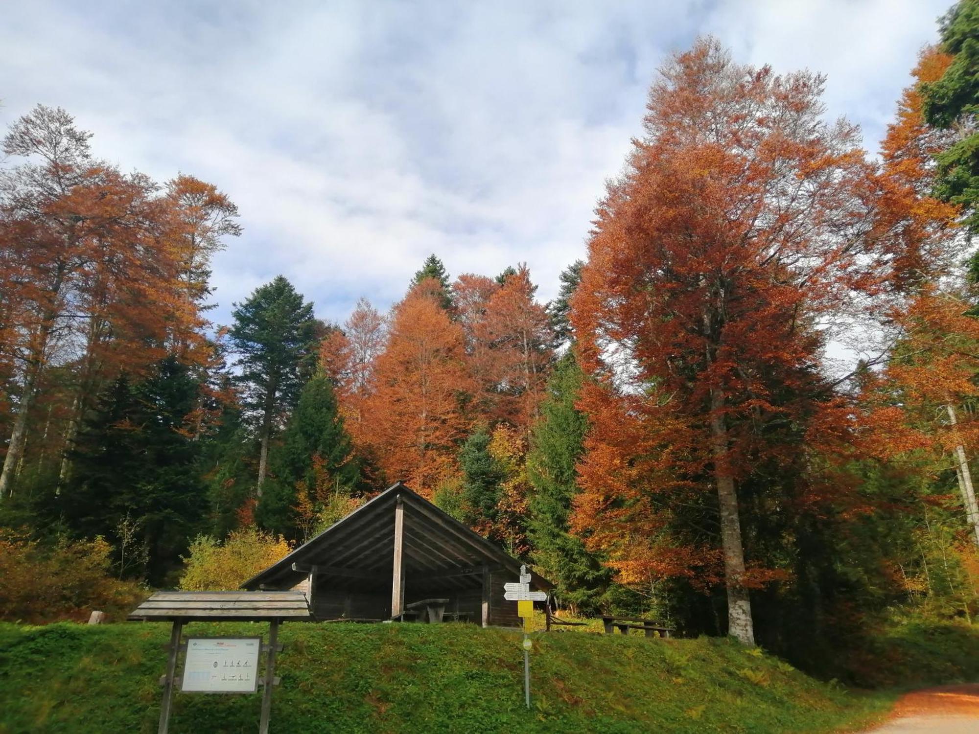 Hotel Am Kurpark Todtmoos Zewnętrze zdjęcie