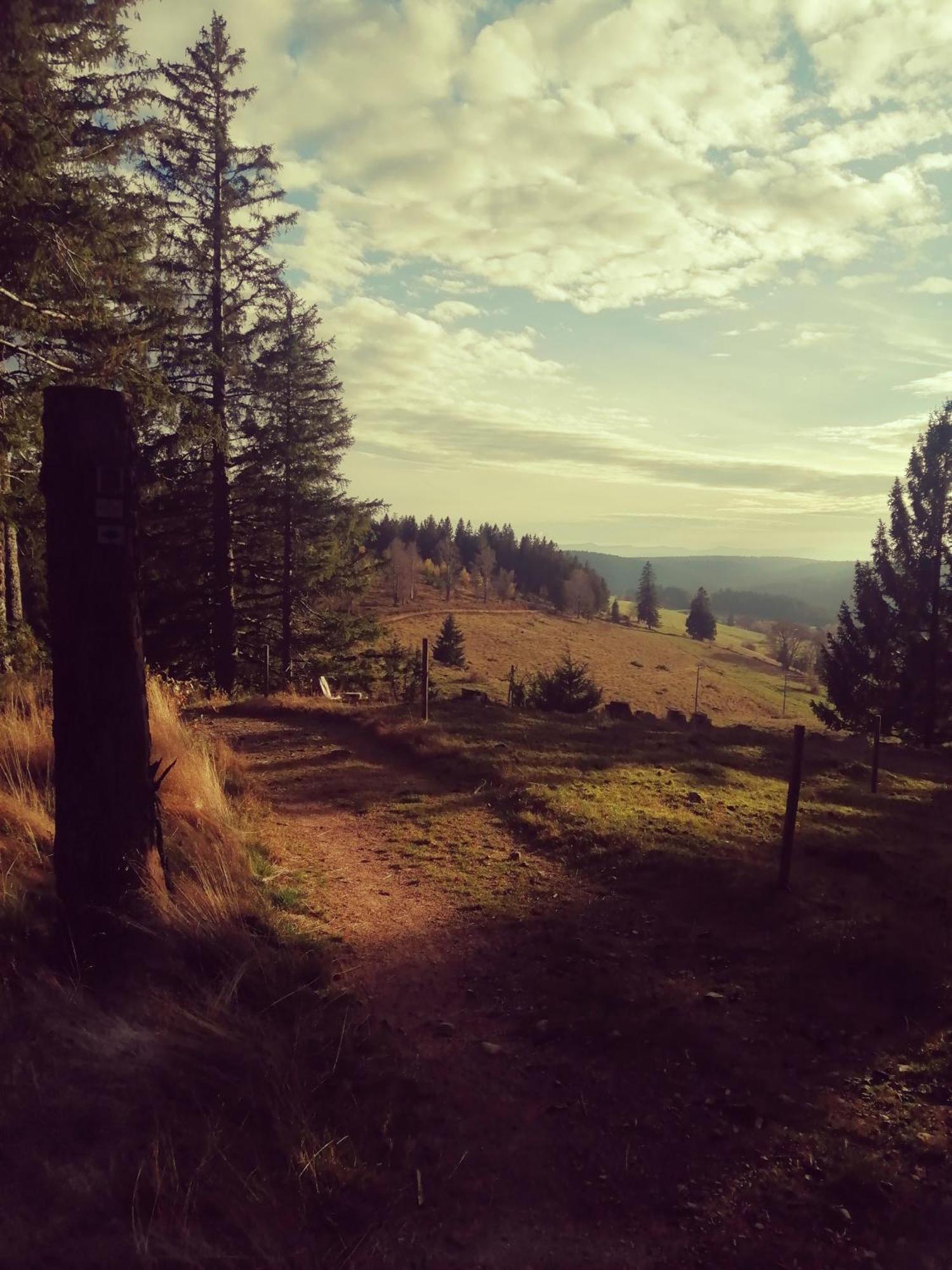 Hotel Am Kurpark Todtmoos Zewnętrze zdjęcie